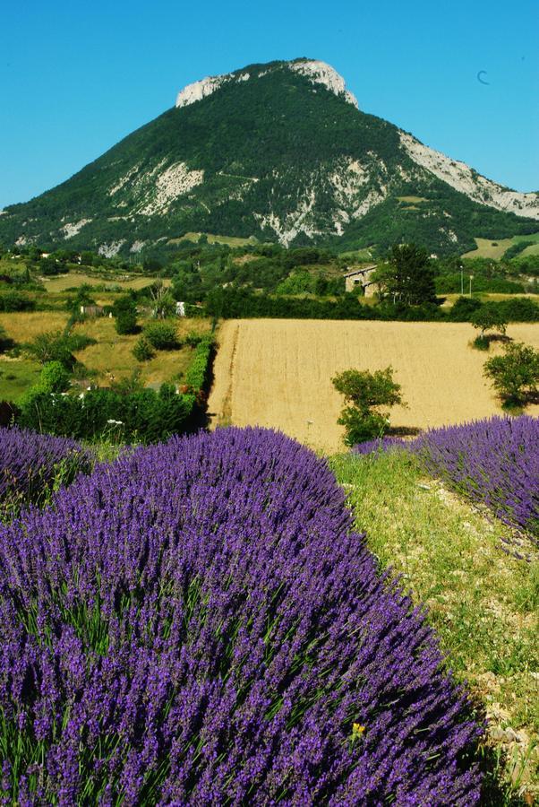 L'Ensoleillee Panzió Rosans Kültér fotó